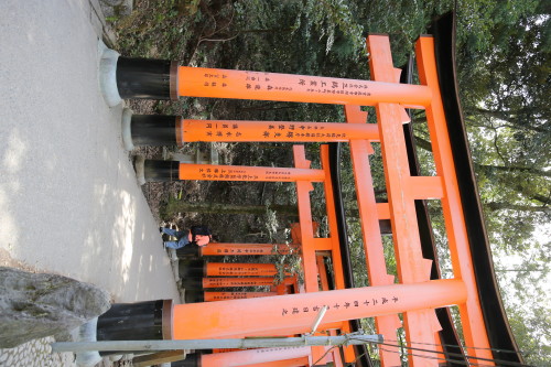 Tori de Fushimi Inari-Taisha (photo JMT) 