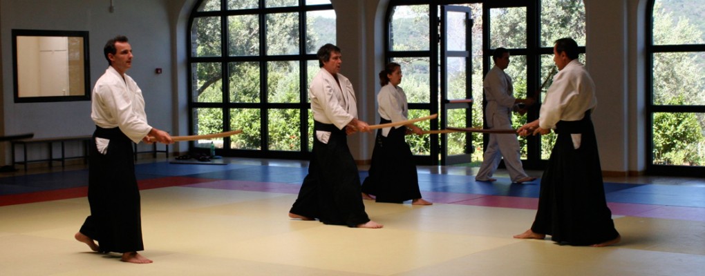 ecole tenchi aikido